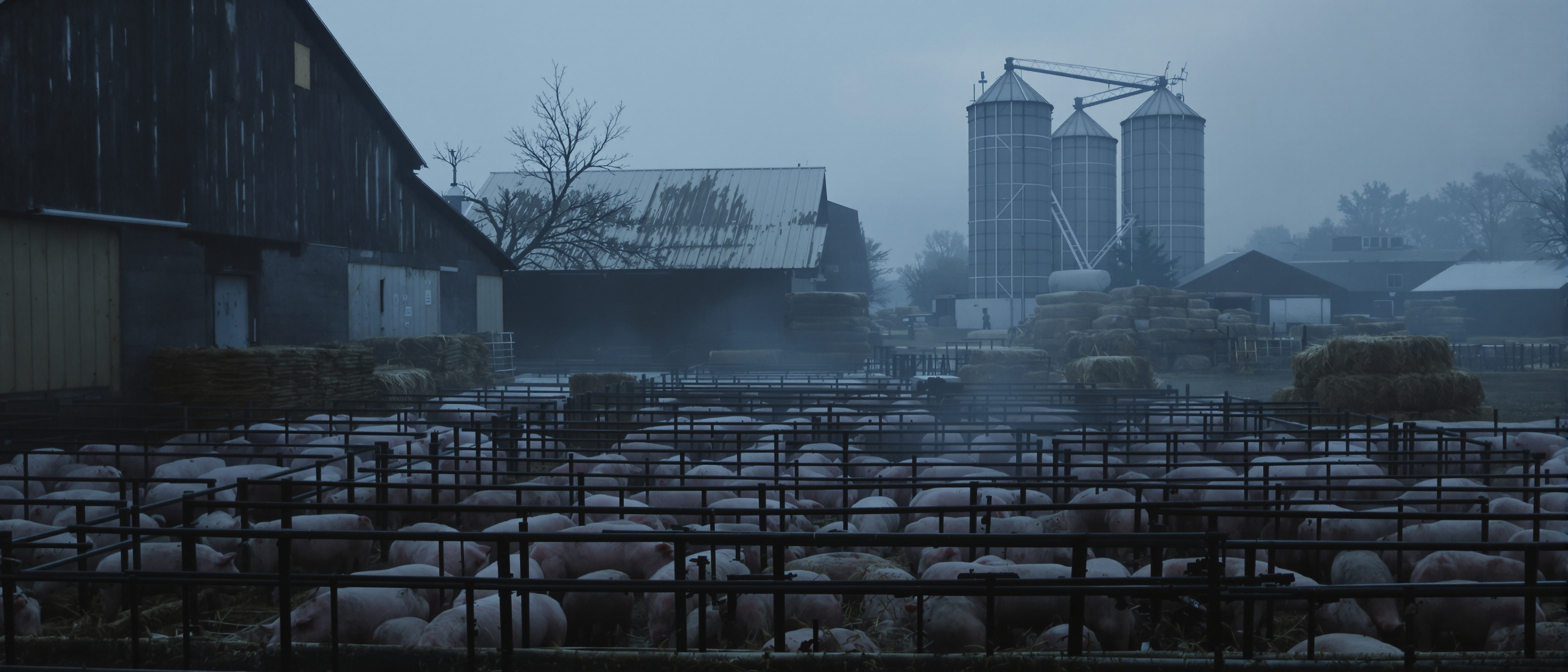 Lean Hogs (HE) market analysis and seasonal trends - TradeWave.ai