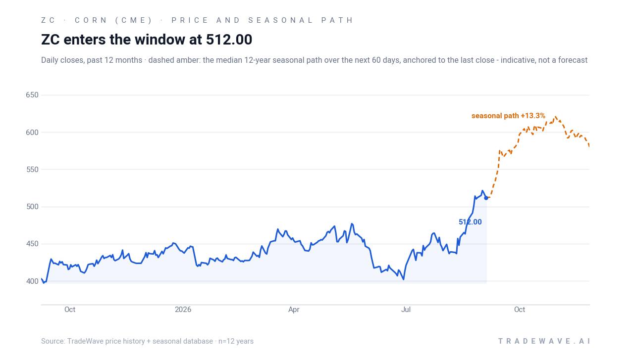 ZC enters the window at 512.00. Daily closes, past 12 months · dashed amber: the median 12-year seasonal path over the next 60 days, anchored to the last close - indicative, not a forecast. Source: TradeWave price history + seasonal database · n=12 years