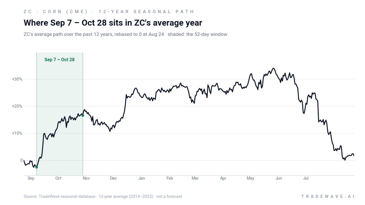 Where Sep 7 – Oct 28 sits in ZC's average year. ZC's average path over the past 12 years, rebased to 0 at Aug 24 · shaded: the 52-day window. Source: TradeWave seasonal database · 12-year average (2014–2025) · not a forecast