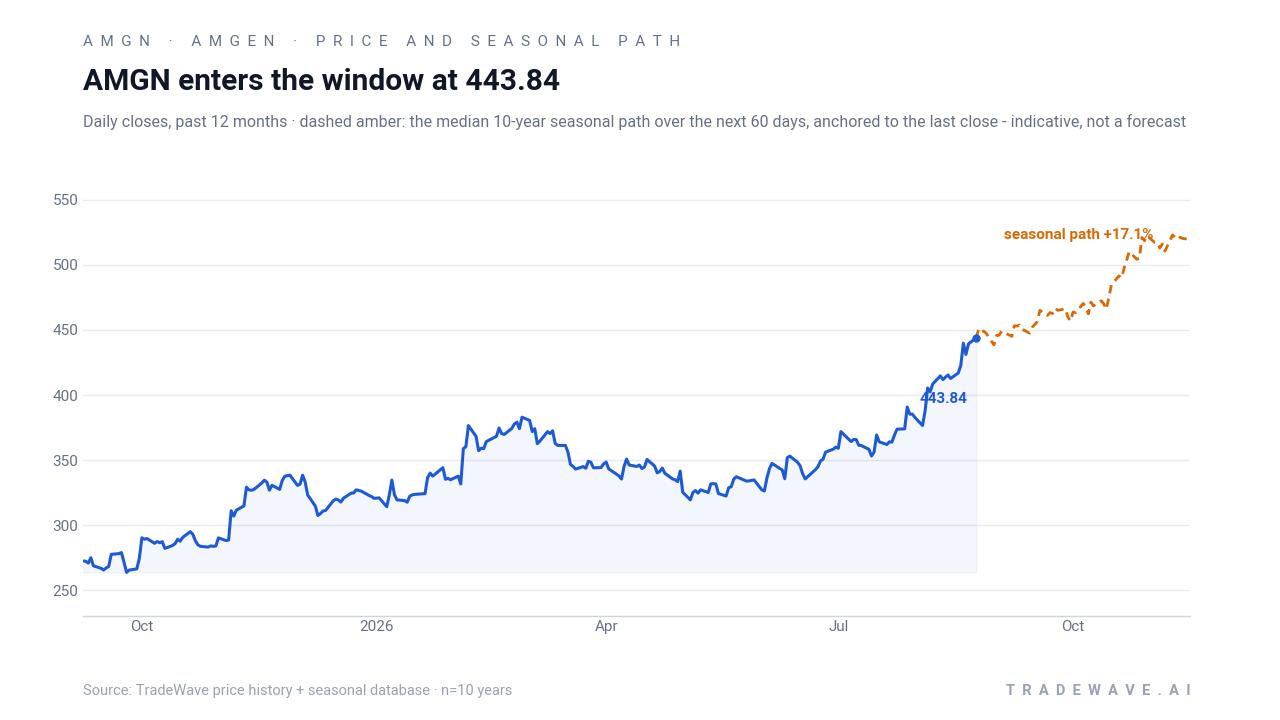 AMGN enters the window at 443.84. Daily closes, past 12 months · dashed amber: the median 10-year seasonal path over the next 60 days, anchored to the last close - indicative, not a forecast. Source: TradeWave price history + seasonal database · n=10 years